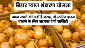 बिहार प्याज भंडारण योजना: प्याज रखने की नहीं है जगह, तो स्टोरेज हाउस बनाने के लिए सरकार देगी सब्सिडी, ऐसे करना होगा आवेदन