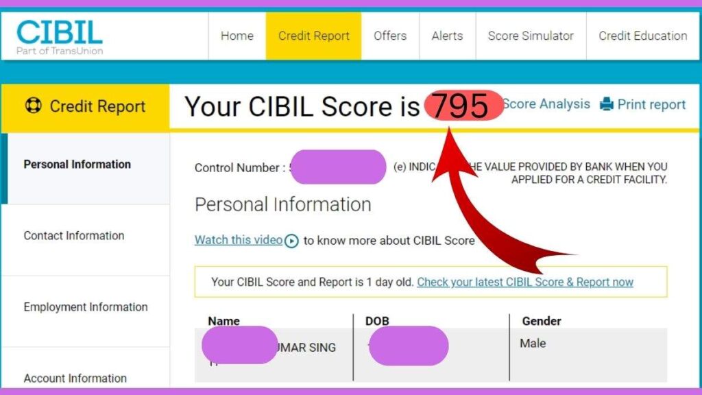 पैन कार्ड द्वारा सिबिल स्कोर फ्री में चेक करें, ये है तरीका 7 CIBIL Score