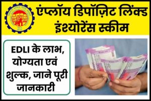 Employee Deposit Linked Insurance Scheme know detail