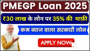PMEGP Loan; भारी छूट का मौका, ₹30 लाख के लोन पर 35% माफ़ी - जानें ये सरकारी लोन कैसे प्राप्त करें