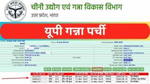 यूपी गन्ना पर्ची कैलेंडर 2025 | ऑनलाइन कैलेंडर, सर्वे डेटा