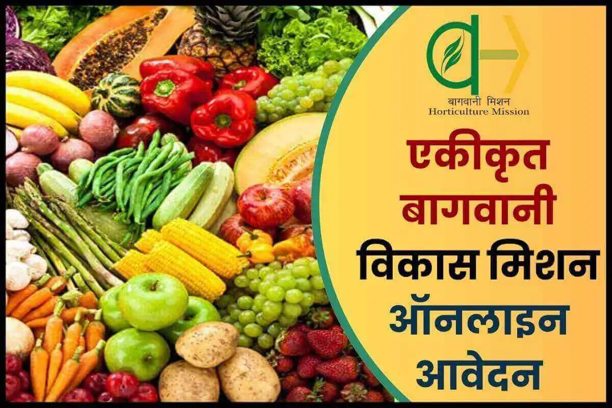 Ekikrit Bagwani Vikas Mission Apply Online
