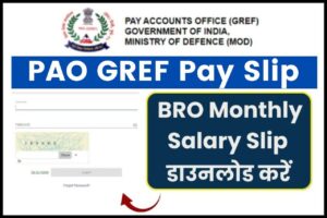 PAO GREF Pay Slip 2025 Download Pdf online @ paogref.nic.in, BRO Monthly Salary Slip