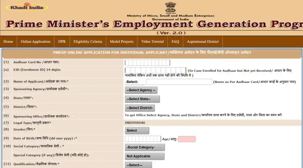 PMEGP application for new individual
