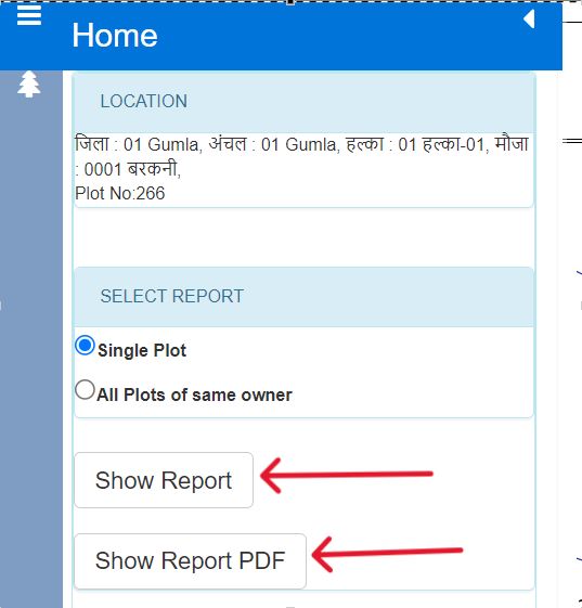 Show Report PDF